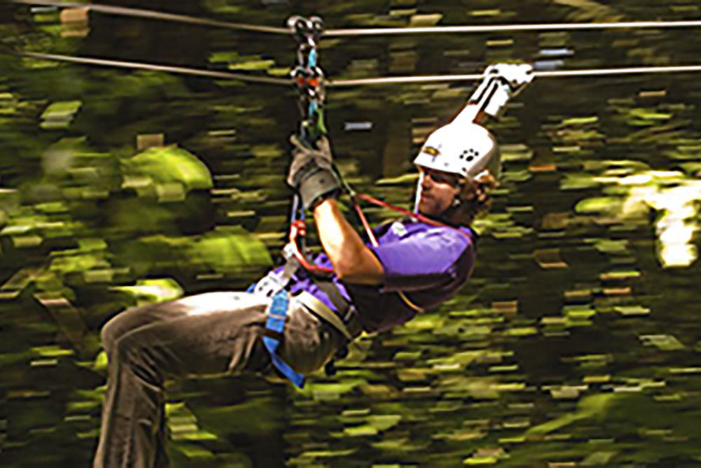 Mystic Mountain Rainforest Jamaican Tour - Fly High Taxi and Tours Jamaica - www.FlyHighTaxiAndToursJamaica.com - www.FlyHighTaxiAndToursJamaica.net Mystic Mountain Rainforest Jamaican Tour - Fly High Taxi and Tours Jamaica - www.FlyHighTaxiAndToursJamaica.com - www.FlyHighTaxiAndToursJamaica.net