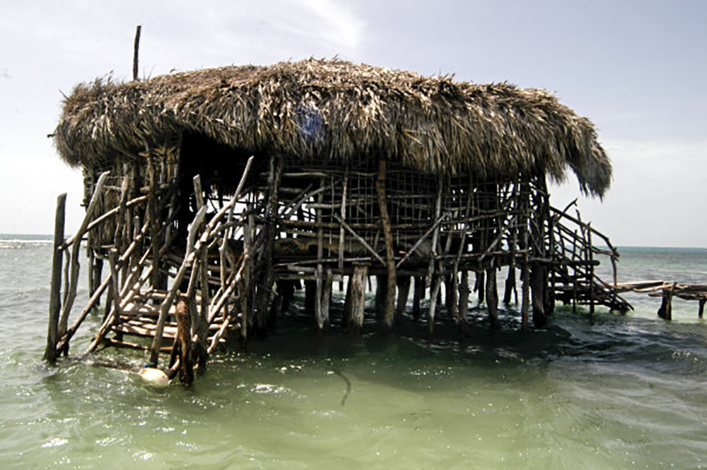 Pelican Bar - Fly High Taxi and Tours Jamaica - www.FlyHighTaxiAndToursJamaica.com - www.FlyHighTaxiAndToursJamaica.net Pelican Bar - Fly High Taxi and Tours Jamaica - www.FlyHighTaxiAndToursJamaica.com - www.FlyHighTaxiAndToursJamaica.net